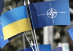 Президент создал комиссию по координации вступления Украины в НАТО