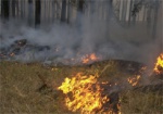 Спасатели напоминают о запрете сжигания сухой травы