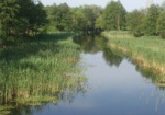 Экологи занялись проверкой воды в реке Мерла