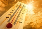 В Харькове 4 дня подряд была рекордная жара