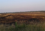 В Шевченковском районе выгорело 6 гектров пшеницы