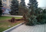 Ураган в Харькове: Поваленные деревья и столбы