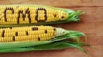 В Украине хотят запретить использование ГМО до 2023 года
