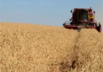 В Харьковской области собрали первый миллион тонн зерна нового урожая
