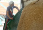 В Харьковской области убрано больше половины площадей озимой пшеницы