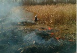 За сутки в области произошло 10 пожаров в природных экосистемах