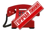 Открыта телефонная линия для сообщений о референдуме ДНР и ЛНР