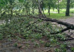 Оборванные провода и поваленные деревья: последствия непогоды на Харьковщине