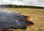 Экоинспекторы напоминают: выжигание сухой травы запрещено