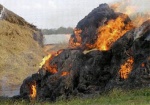 Молния сожгла тонну сена на Харьковщине