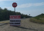 Ситуация с вирусом АЧС в Харьковской области полностью под контролем