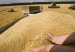 В этом году экспорт зерна составит почти 40 млн. тонн