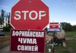В Волчанском районе занялись локализацией вируса АЧС