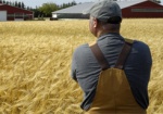 Харьковский фермер скрыл от налоговой 8 наемных работников