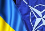 Эксперты НАТО по военному образованию начали работу в Украине