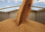 Евросоюз увеличит объем поставок украинской пшеницы