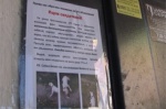 Харьковчане требуют наказать виновных в издевательстве над животным. Подробности инцидента