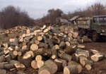 Прокуратура разоблачила незаконную вырубку леса под Харьковом