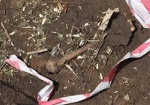 В центре Харькова нашли человеческие кости