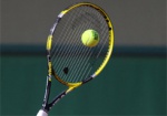 Матч Кубка федерации по теннису «Украина-Австралия» пройдет в Харькове
