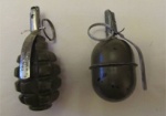 В квартире на Академика Павлова нашли две гранаты