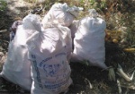 Под Харьковом мужчину и женщину поймали на краже почти 100 кг кукурузы