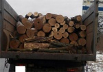 Харьковчанин на «КамАЗе» незаконно перевозил древесину