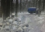 Незаконную вырубку леса выявили в Харьковском районе