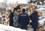 Облпрокуратура расследует незаконную вырубку деревьев