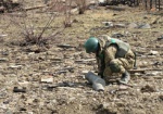 На Донбассе обезвредили 140 тыс. минно-взрывных устройств с начала АТО