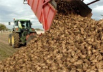 В Харьковской области - рекордный урожай сахарной свеклы