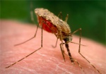 Харьковчанин привез из Нигерии малярию