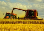 Экспорт зерна в 2017 году может составить 41,6 млн тонн - Минагрополитики