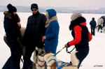 Winter Dog Fest: зимняя олимпиада на собачьих упряжках пройдет под Харьковом