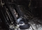 ДТП с шестью погибшими под Чугуевом: основная версия - превышение скорости