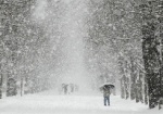 Сколько на Харьковщине продлятся снегопады: информация синоптиков
