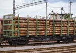 В Украине ввели ограничения на вывоз древесины