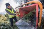 Коммунальщики рассказали, как перерабатывают новогодние елки