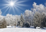 На выходных в Харькове будет солнечно и морозно