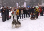 Лыжные забеги, фотозона и катание на собачьих упряжках. В Харькове - фестиваль зимних видов спорта «Winter Fest»