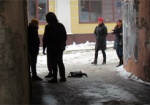 В Харькове подростки «избивали» школьника ради эксперимента