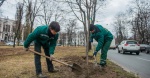 Более полутора тысяч деревьев высадили в Харькове