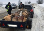 На Харьковщине снова задержали авто, незаконно перевозившее древесину