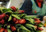 В Харькове ограбили продавцов цветов