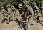 За год в Украине провели более 500 военных учений
