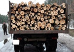 Под Харьковом задержали две машины, незаконно перевозившие древесину
