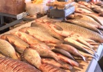 Проверка на харьковском рынке. Почти все торговцы рыбы - без документов