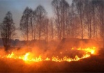 На Харьковщине произошло более 40 пожаров в природных экосистемах