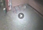 Появилось видео смертельного ДТП на автобусной остановке