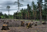 В Золочевском районе незаконно вырубили больше 100 деревьев